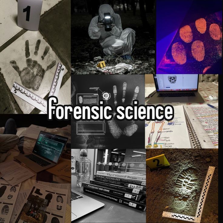 Government vs Private Forensic Science Jobs