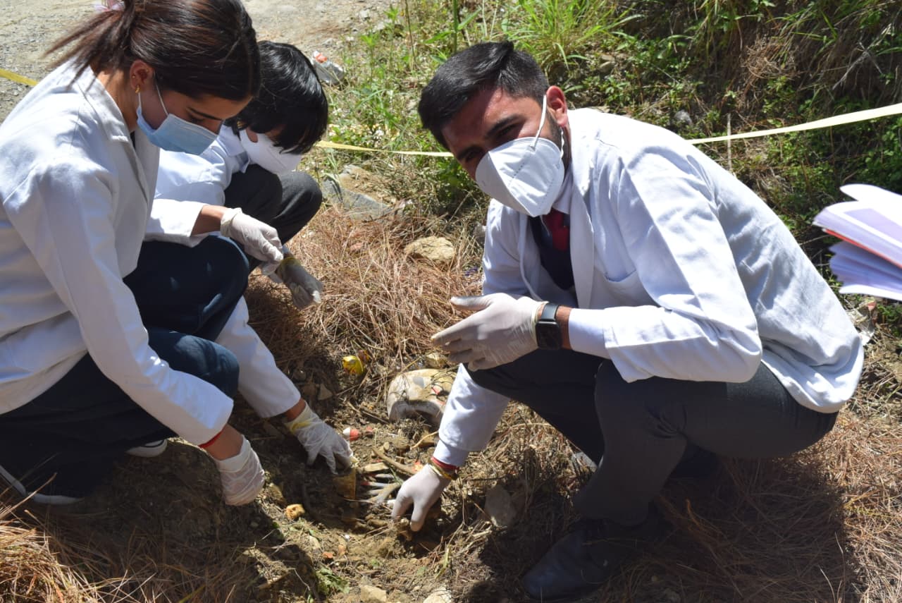 Forensic Science Immersive Programs Transform Careers