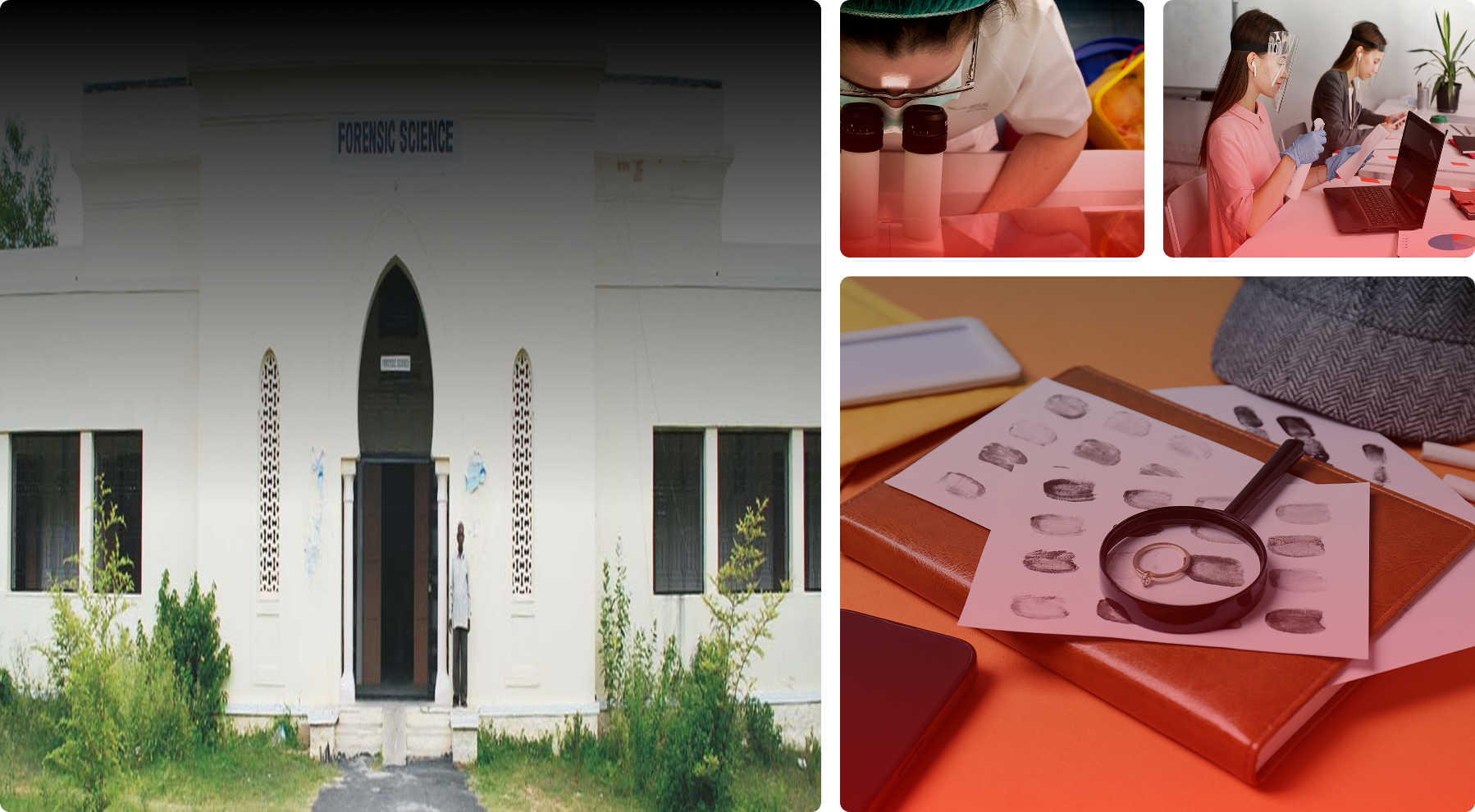 AIFSET Application Form 2026 | B.Sc. Forensic Science Admission | SMRU ...